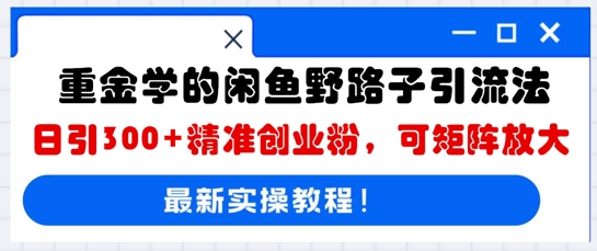 重金学的闲鱼野路子引流法，日引300+精准创业粉，可矩阵放大-亮剑学堂